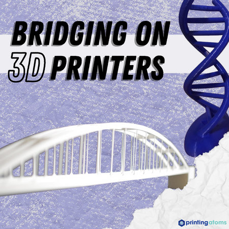nøgle udpege Modsigelse Bridging On 3D Printers: When To Use And How?